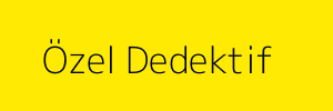 Özel Dedektif